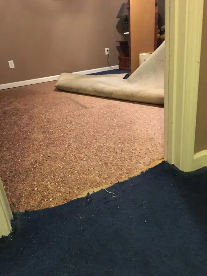 Carpet pad removal revealing water damage during Drying & Dehumidification in Upper Uwchlan