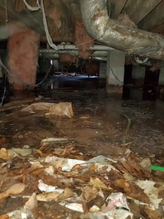 Crawl space flood assessment for Leak Detection & Repair in Upper Uwchlan